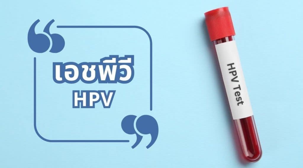 เอชพีวี HPV